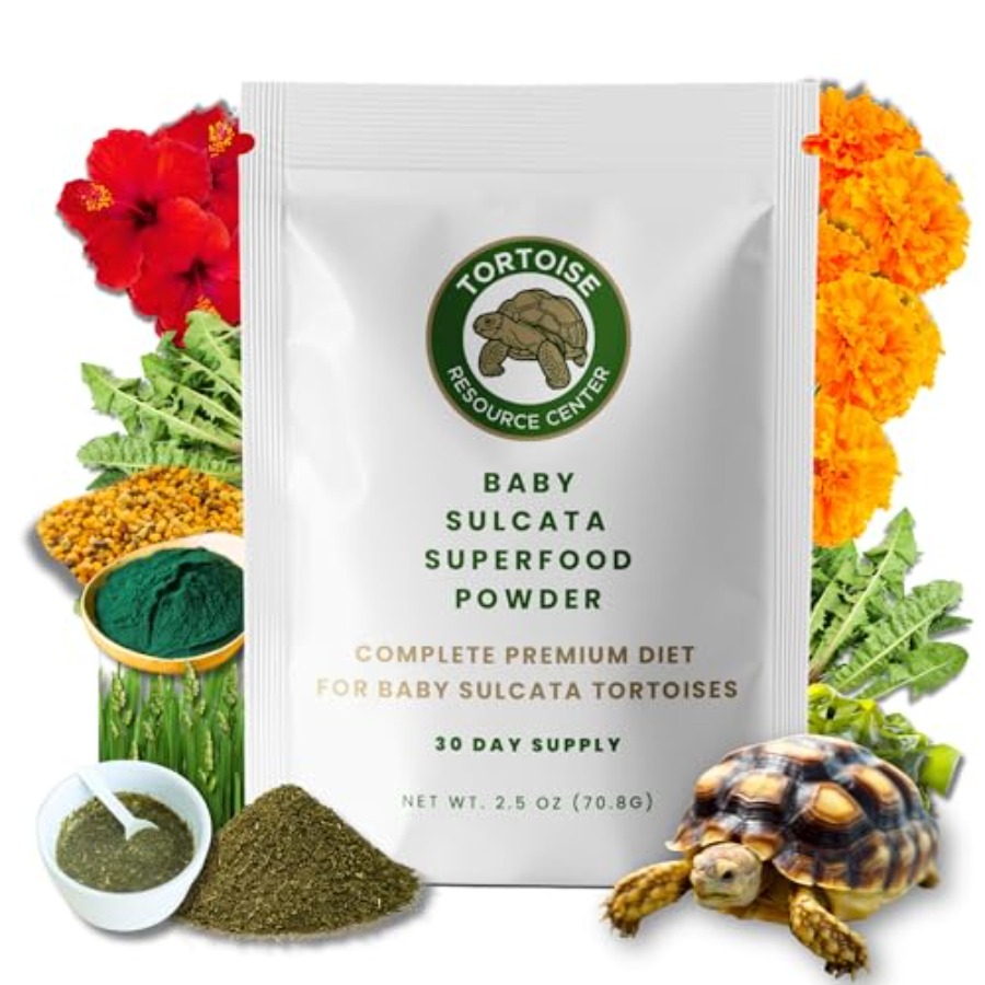 Baby Food With Fiber - 【Spot goods】Baby Sulcata Food Powder with