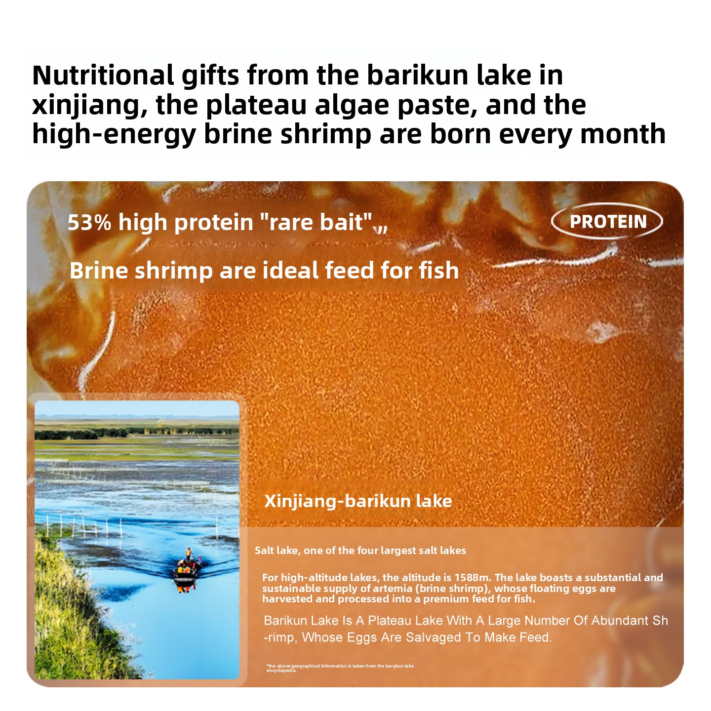 SANKii Decapsulated Brine Shri - Baby Food Shrimp บทวิจารณ์และราคา