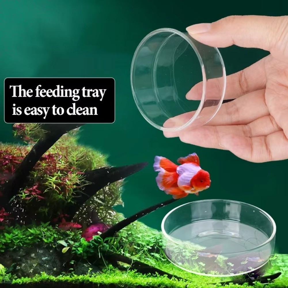 Glass Aquarium Feeding Bowl Du - Baby Food Shrimp บทวิจารณ์และราคา