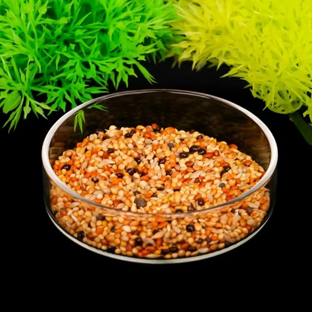 Glass Aquarium Feeding Bowl Du - Baby Food Shrimp บทวิจารณ์และราคา