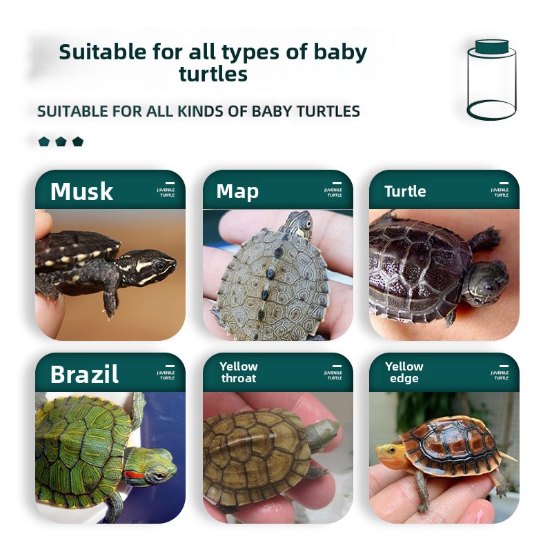 BESSN All-Stage Turtle Food wi - Baby Food Shrimp บทวิจารณ์และราคา
