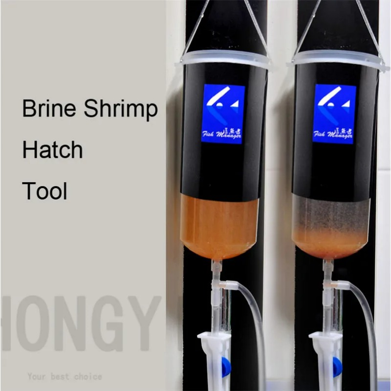 Fairy shrimp egg artemia alive - Baby Food Shrimp บทวิจารณ์และราคา