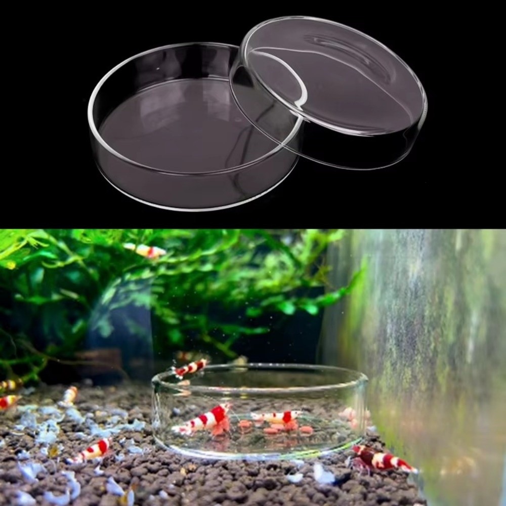 Glass Aquarium Feeding Bowl Du - Baby Food Shrimp บทวิจารณ์และราคา