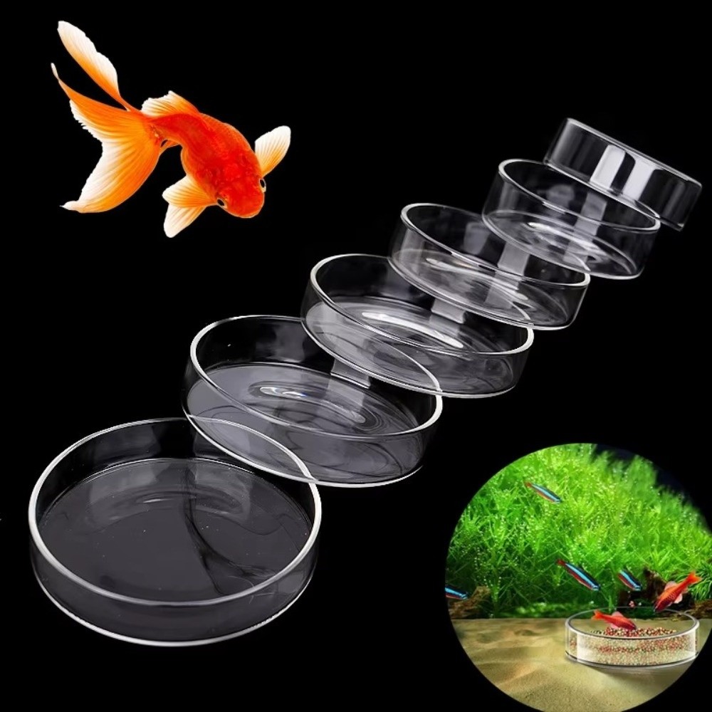 Glass Aquarium Feeding Bowl Du - Baby Food Shrimp บทวิจารณ์และราคา