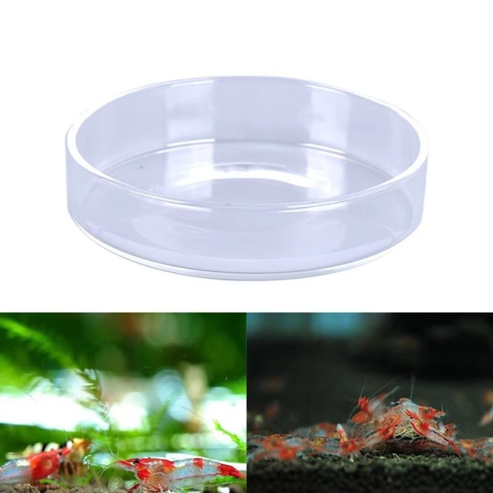 Glass Aquarium Feeding Bowl Du - Baby Food Shrimp บทวิจารณ์และราคา